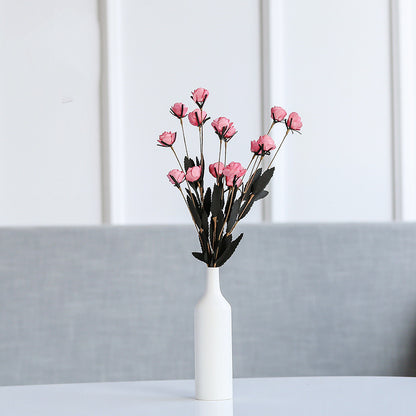 Vase Céramique Créatif pour Hydroponie - Ornement Décoratif Élégant