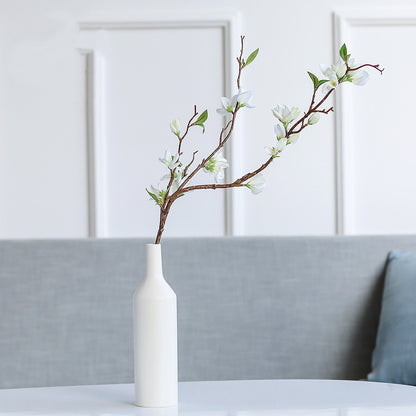 Vase Céramique Créatif pour Hydroponie - Ornement Décoratif Élégant